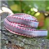 Order  Velvet Saddle Stitch Ribbon - Silver/Red